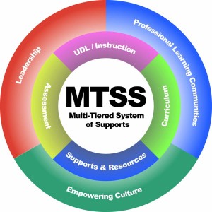 MTSS Wheel