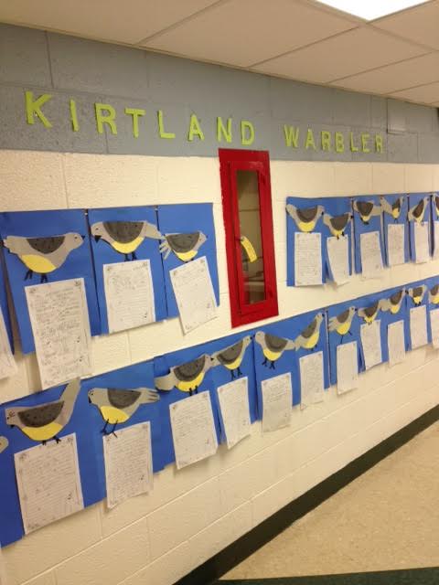 Kirtland 3